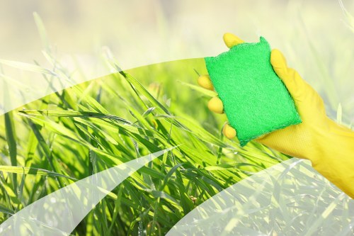Herne Hill Carpet Cleaners team providing professional carpet care in a home interior