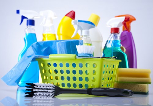 Professional pet stain odour removal for carpeted room