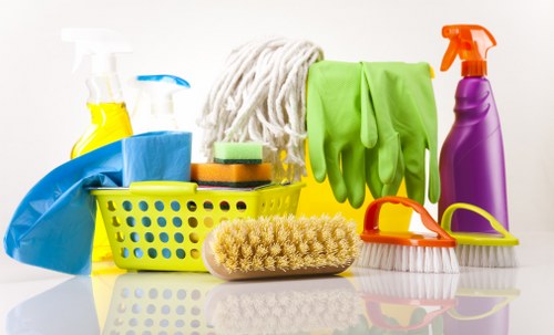 Deep carpet cleaning process in Herne Hill