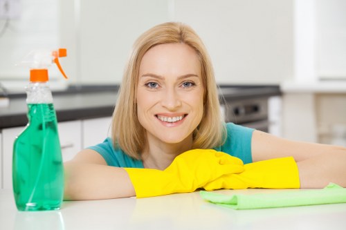 Stain removal treatment for upholstery in Herne Hill