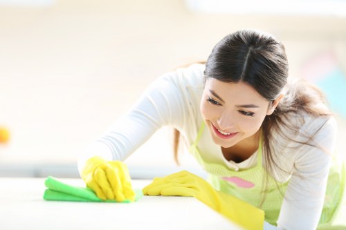 Specialist cleaning of delicate sofa material in Herne Hill