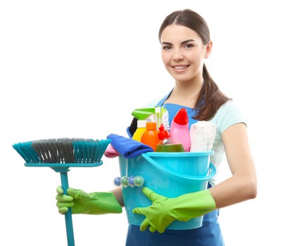 Transparent quote discussion for a rental property carpet clean