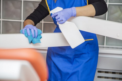 Home mattress stain removal and hygiene maintenance in Herne Hill