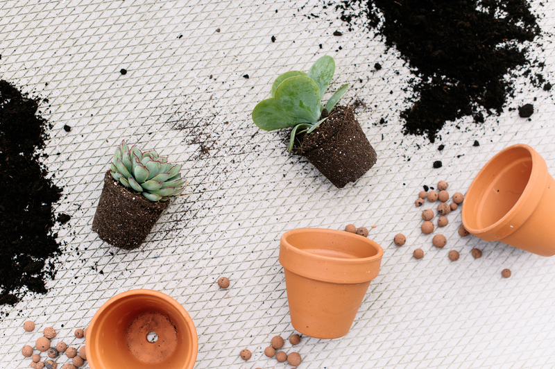 upholstery cleaners deep cleaning